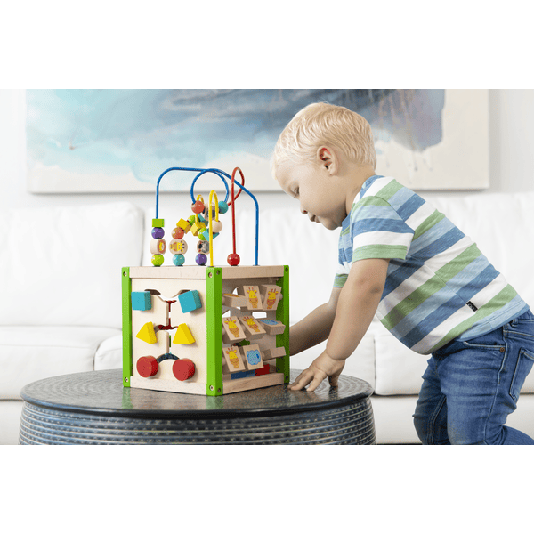 EveryEarth 5-in-1 Motor Activity Cube