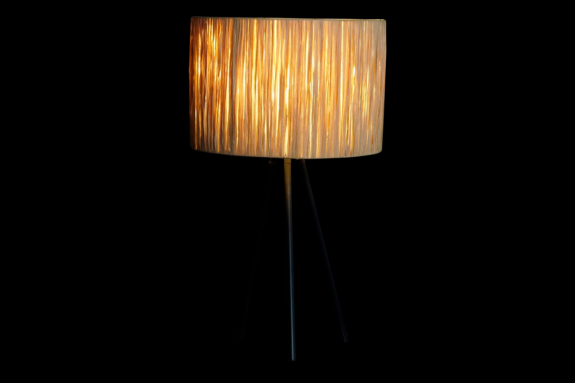Backy table lamp